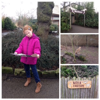 Chester Zoo