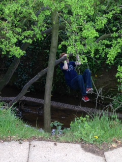 Swinging over streams