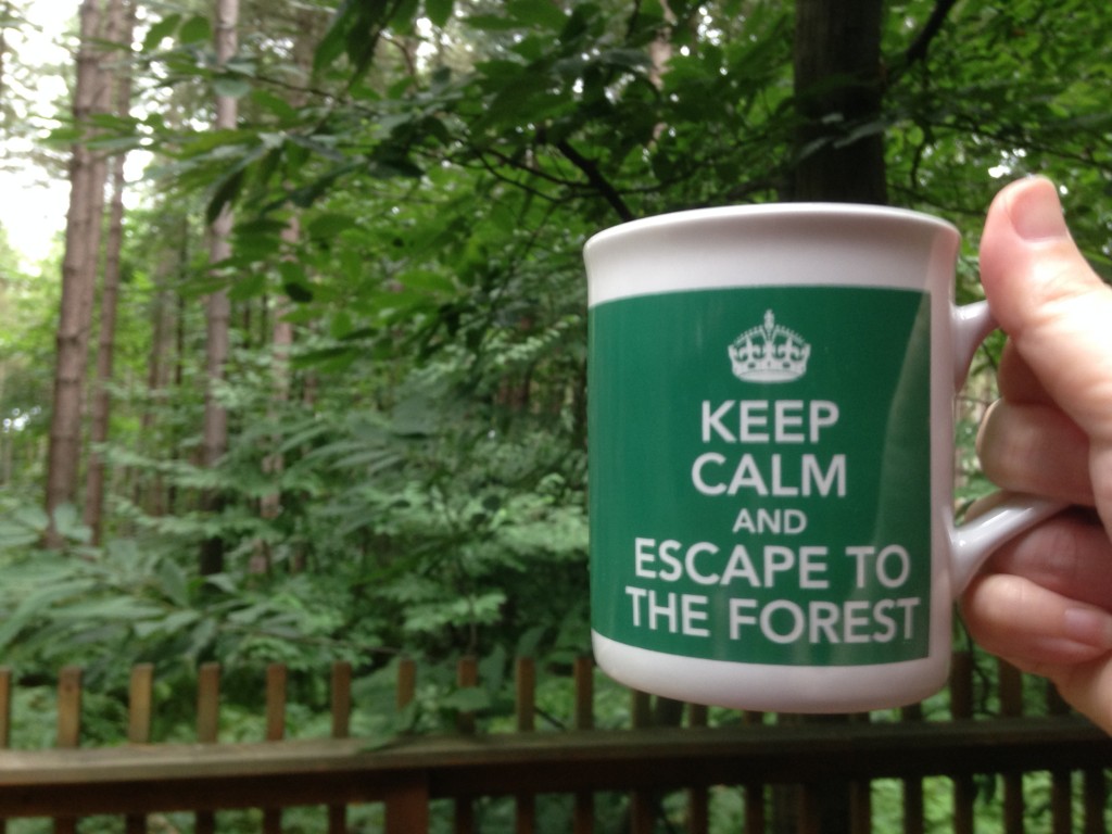 Forest Holidays mug