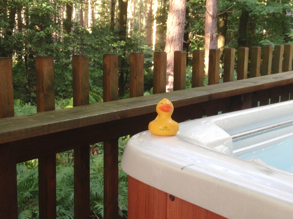 Hot tub in the forest