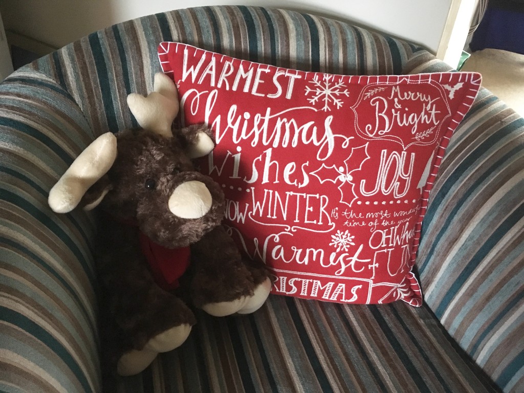 Christmas cushion