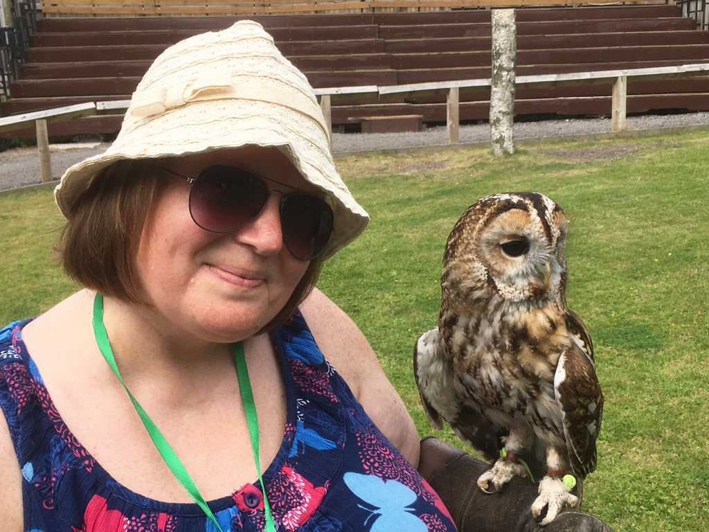 Cheshire Owl Experience