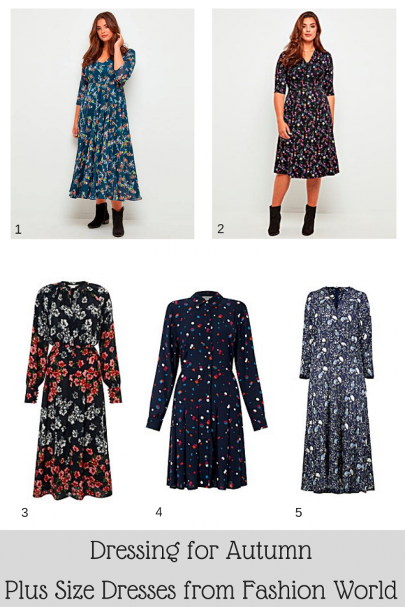 Autumn Dresses from Fashion World