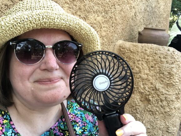 Dealing with the heat in Disney
