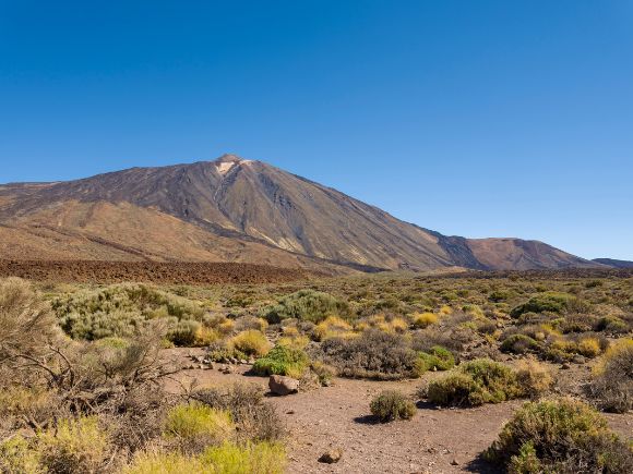 Canary Islands